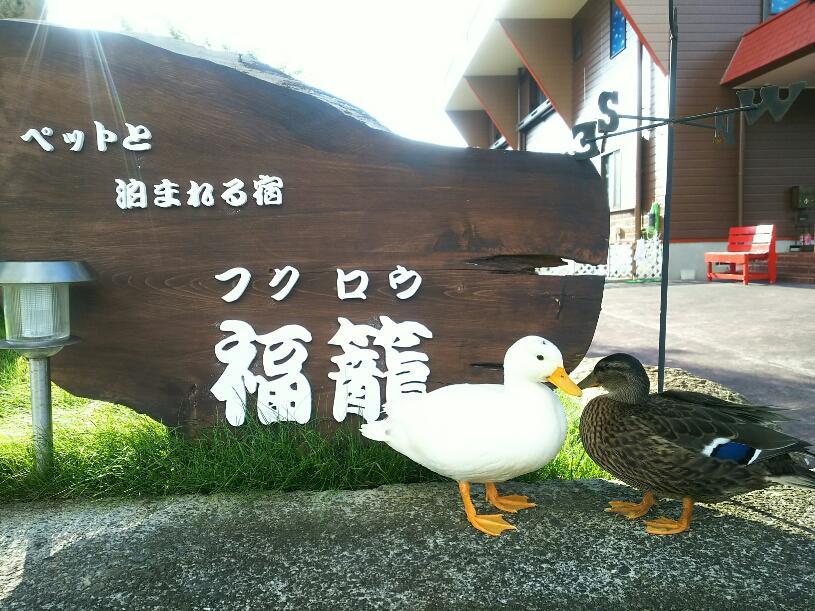 Fukurou Villa Kushimoto Exteriör bild